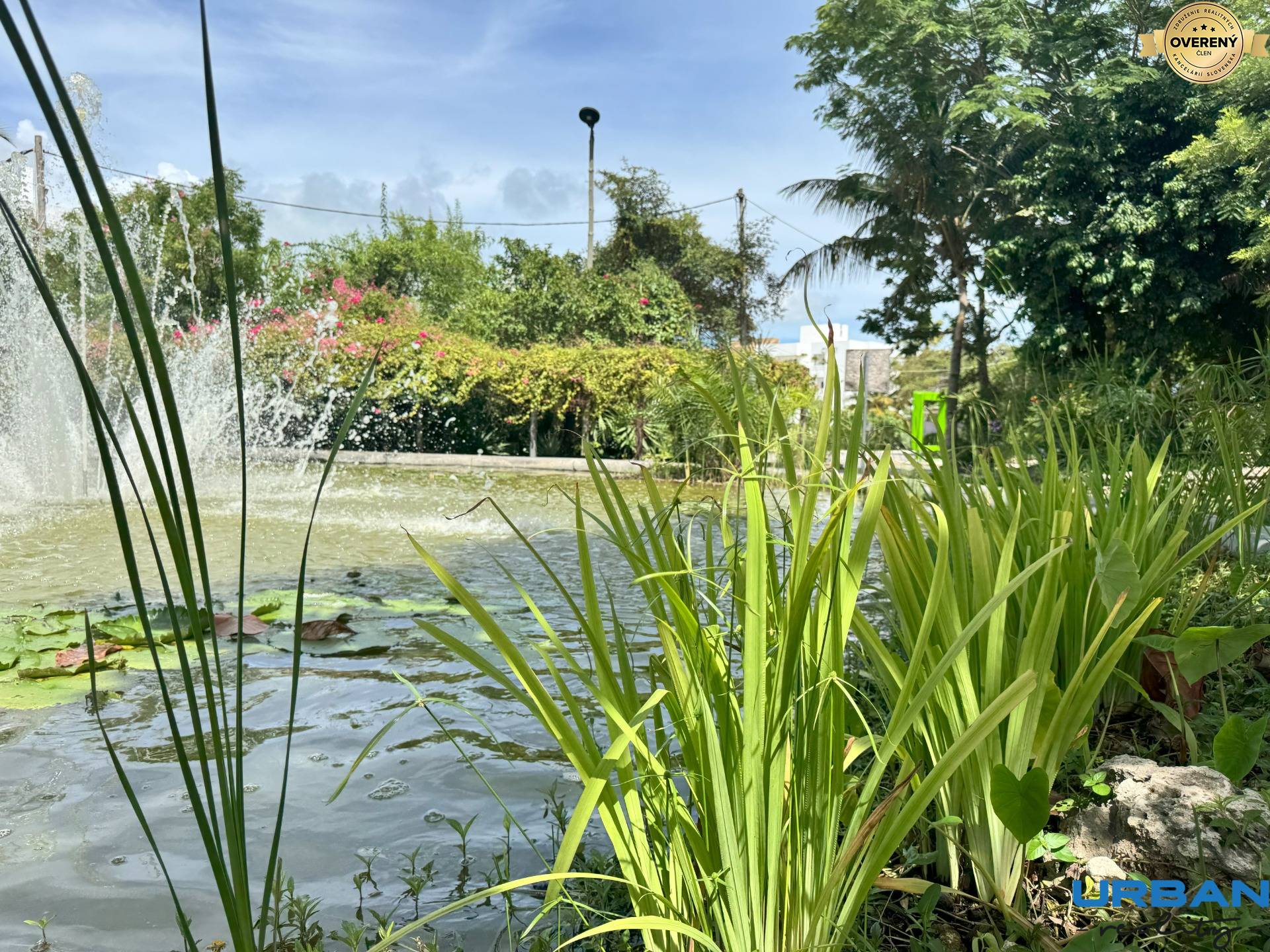 Zeleň a jazierko s fontánou v Fumba Town obklopené rastlinami a stromami.