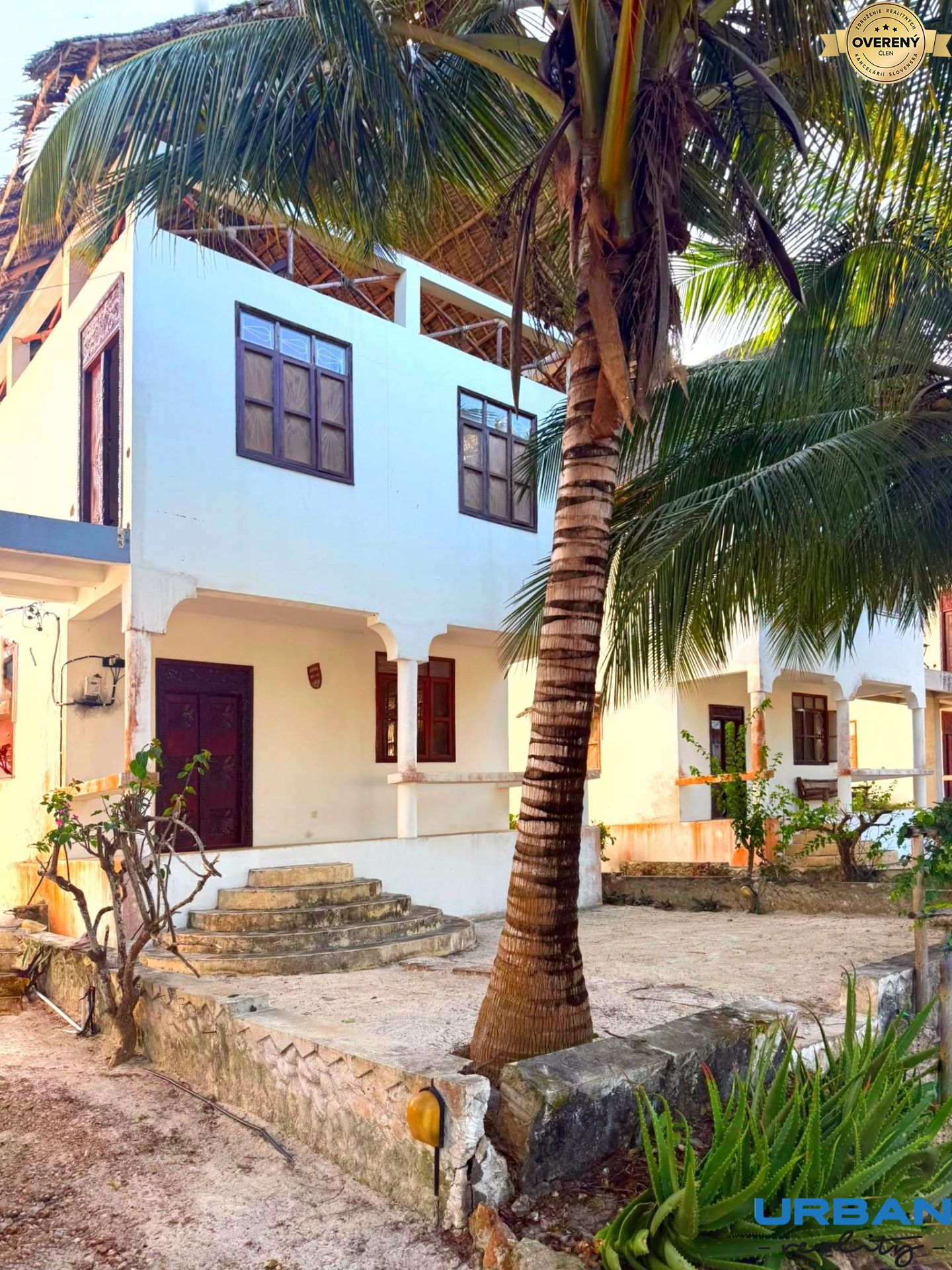 Villa under the palms.jpeg