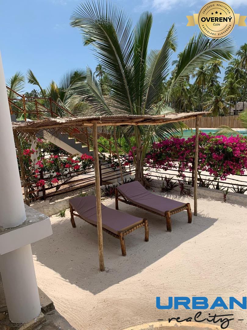 Sundecks under the palms.jpg