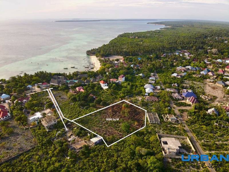 Ingrid Kizimkazi1.jpg