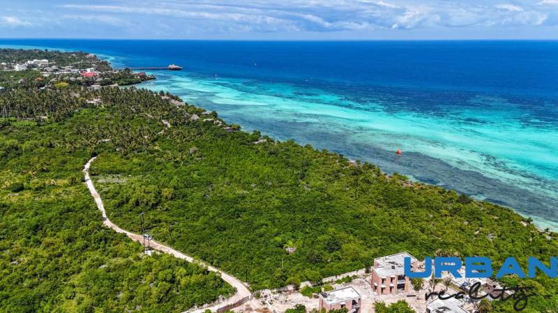 Kizimkazi plot 30 T.jpeg